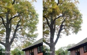 Crown Lifting