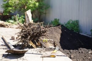 Stump Removal
