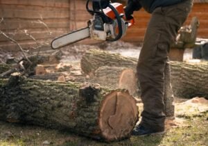 Tree Felling