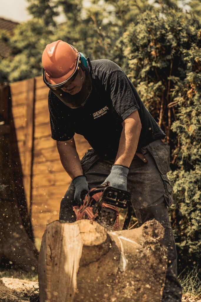 Tree Surgeons Oxford